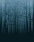 Beasts | TWIN Anthology thumbnail