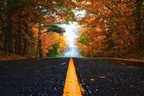 5 Minute Freewrite: Thursday - Prompt: memory lane thumbnail