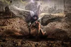 Wings Tarnished thumbnail