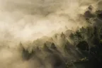 The Curse of the Black Wing thumbnail