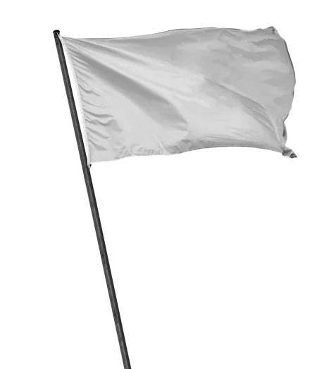 pngwing.com.png