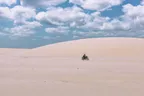 Chrome on Wheels thumbnail