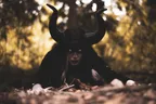 The Village That Never Sleeps thumbnail